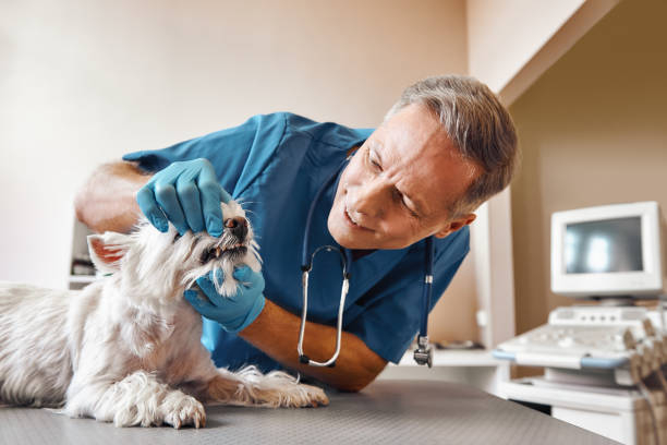 Best Emergency Dental Surgery in Palm Valley, TX